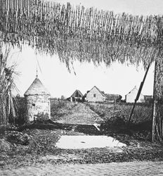 Ingenious Camouflage Used to Conceal Lines of Communication and Gun Emplacements from Hun Aviators